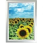 45mm Alüminyum Çerçeve